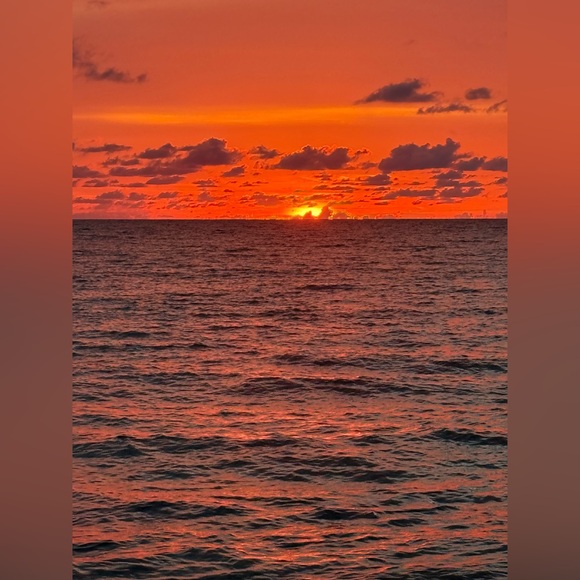 Meet your Posher, Shelley - Picture 5 of 7